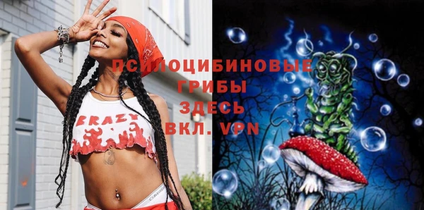 мет Арсеньев