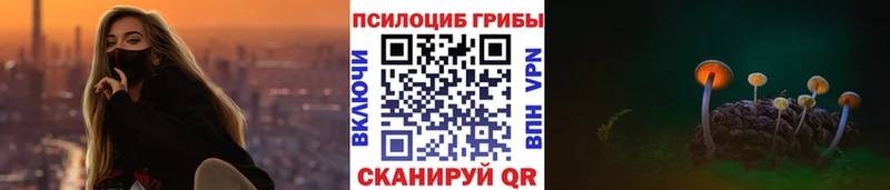 Купить закладки  Миллерово  Псилоцибиновые грибы Cubensis 
