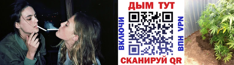 Канабис планчик  Купить  Миллерово 